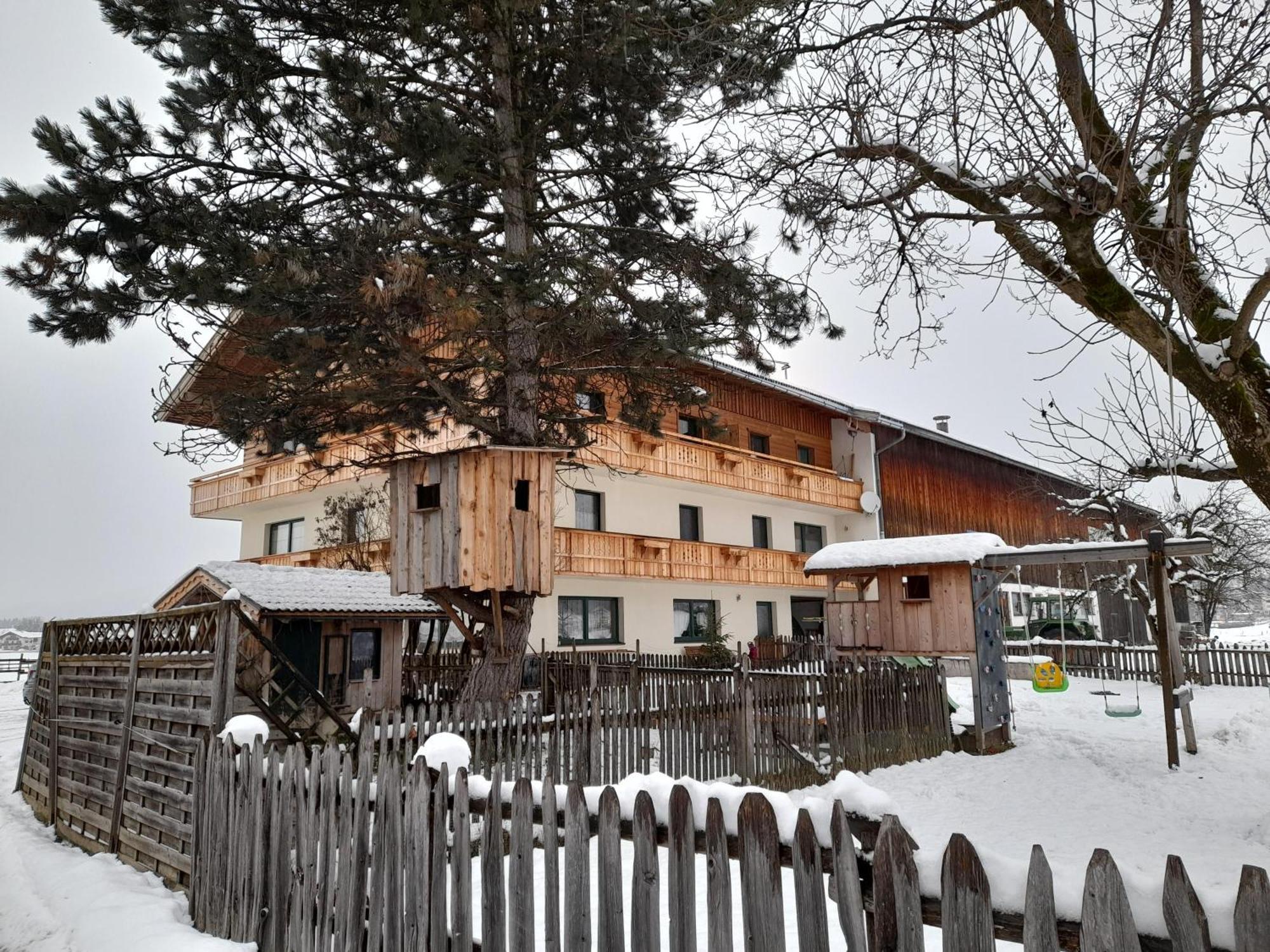 Ferienwohnung Kramerhof 埃布斯镇 外观 照片